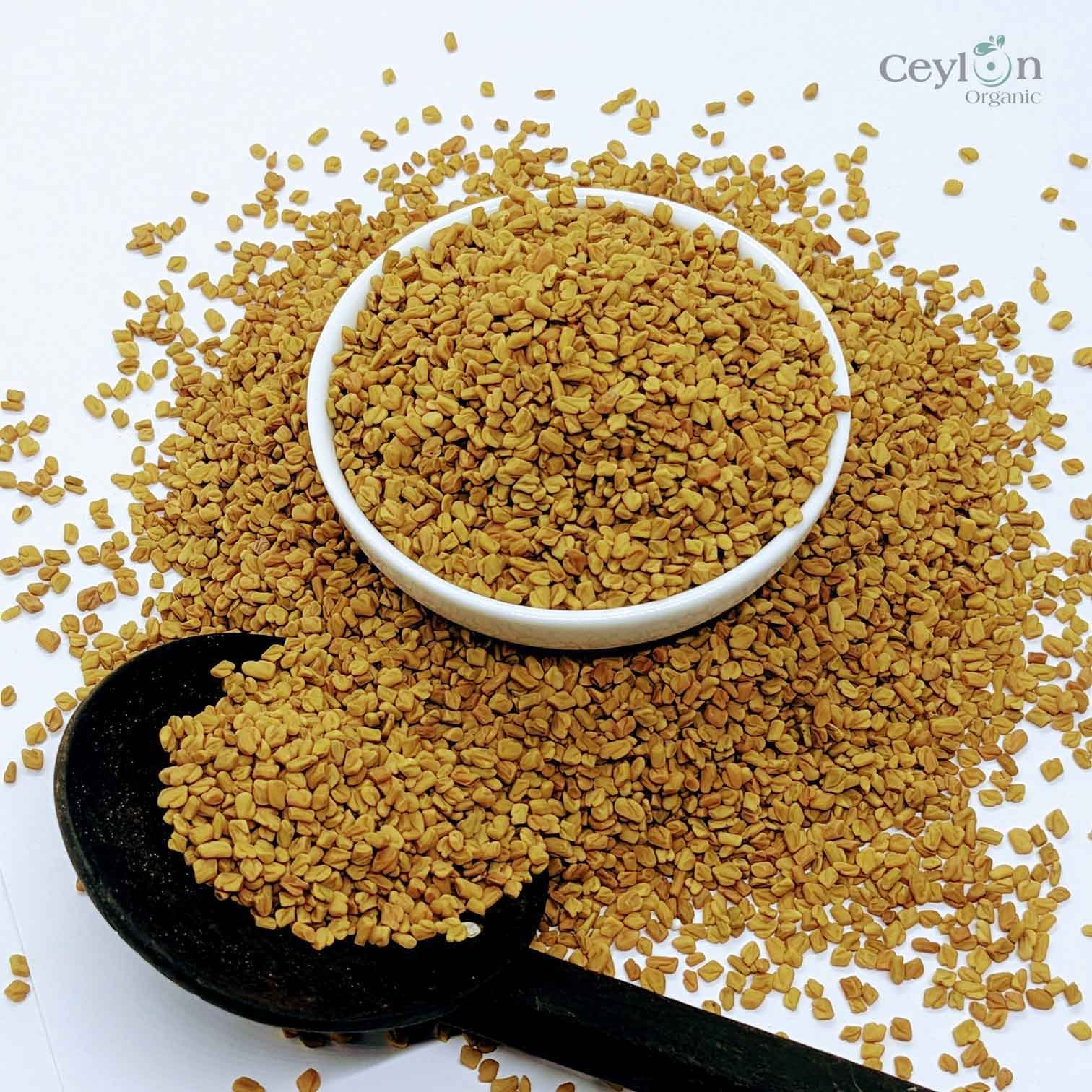 Fenugreek spice Non-GMO Trigonella Foenum Graecum Whole Methi Bulk - Image 4
