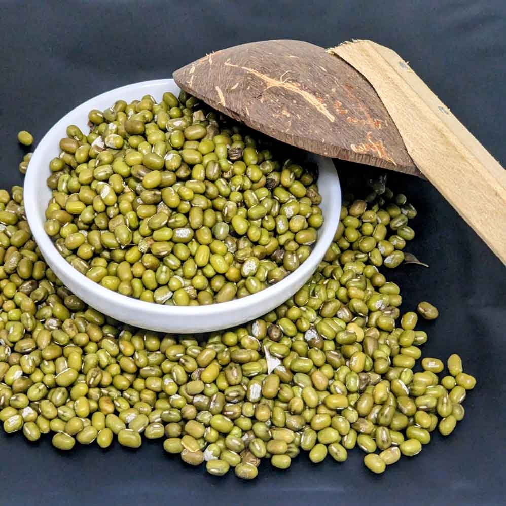 Mung Bean for Sprouting seeds Microgreens Green Salad Healthy Super Food - Image 3