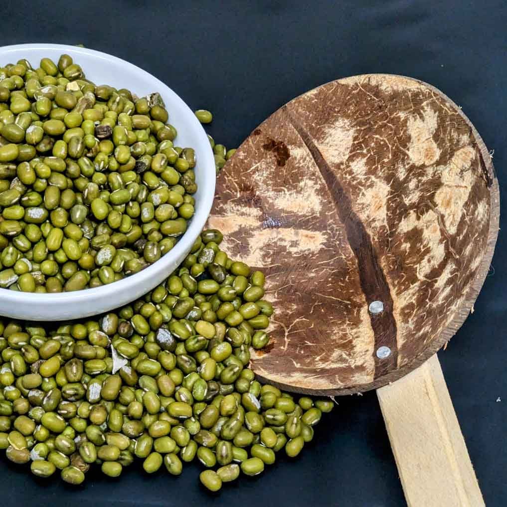 Mung Bean for Sprouting seeds Microgreens Green Salad Healthy Super Food - Image 2